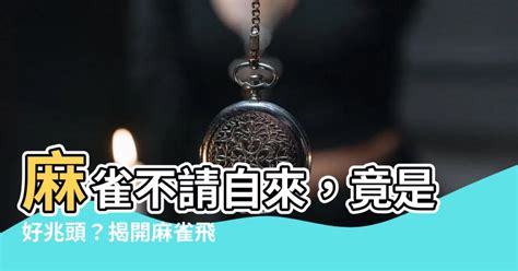 家裡飛來麻雀|【家裡飛進麻雀】家裡飛進麻雀的吉凶預兆：小心謹慎，福禍難測。